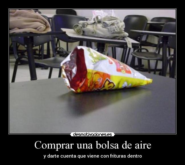 carteles osito bimbollo desmotivaciones