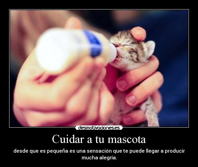 Cuidar a tu mascota -