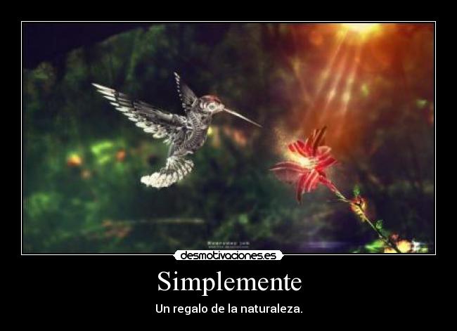 Simplemente - Un regalo de la naturaleza.