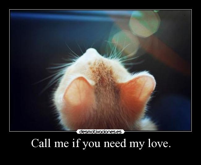 carteles meow desmotivaciones