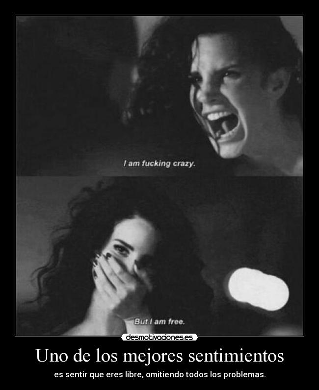 carteles sentimientos rules yeli lampard smile monita pls desmotivaciones