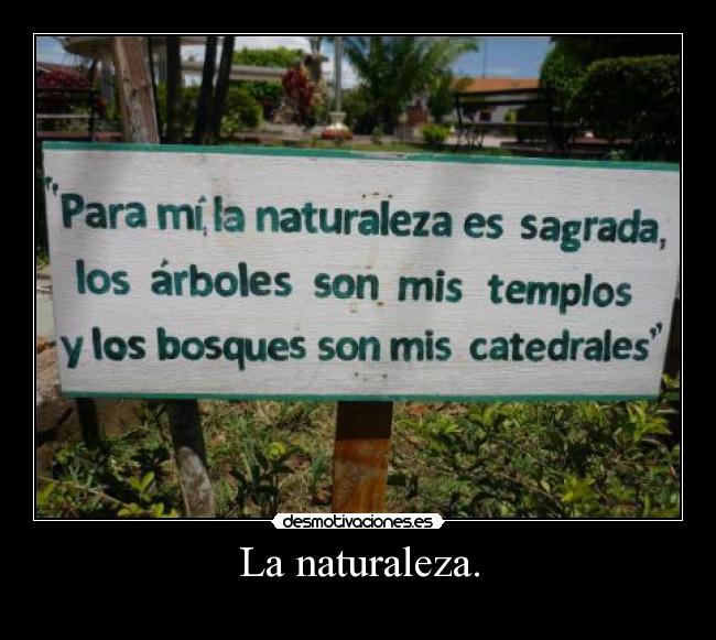 La naturaleza. -