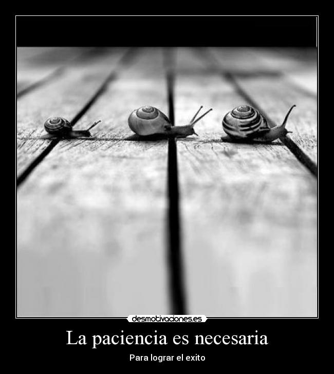 La paciencia es necesaria - 