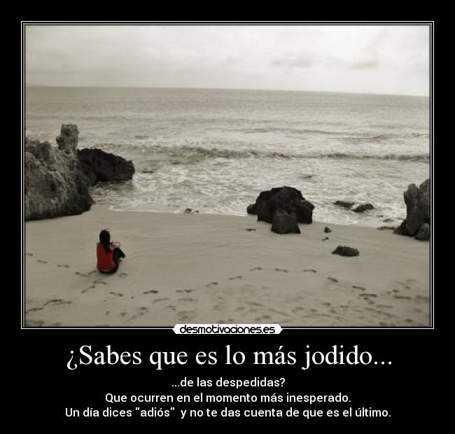 ¿Sabes que es lo más jodido... - ...de las despedidas?
Que ocurren en el momento más inesperado.
Un día dices adiós y no te das cuenta de que es el último.
