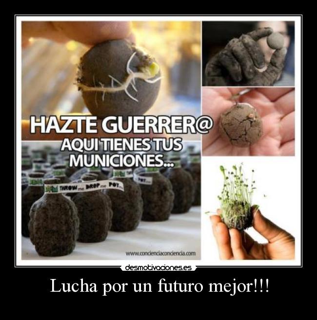 carteles vida bella cuando atreves vivirla desmotivaciones