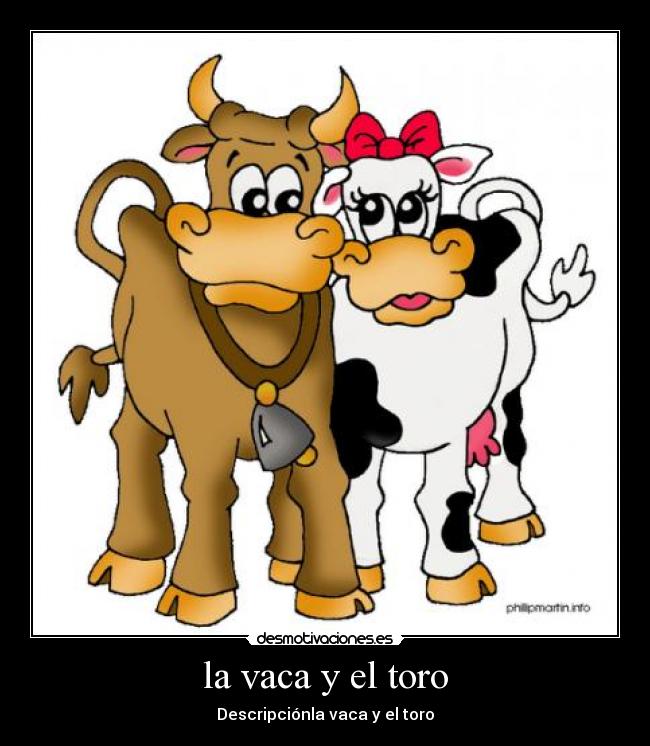 la vaca y el toro -
