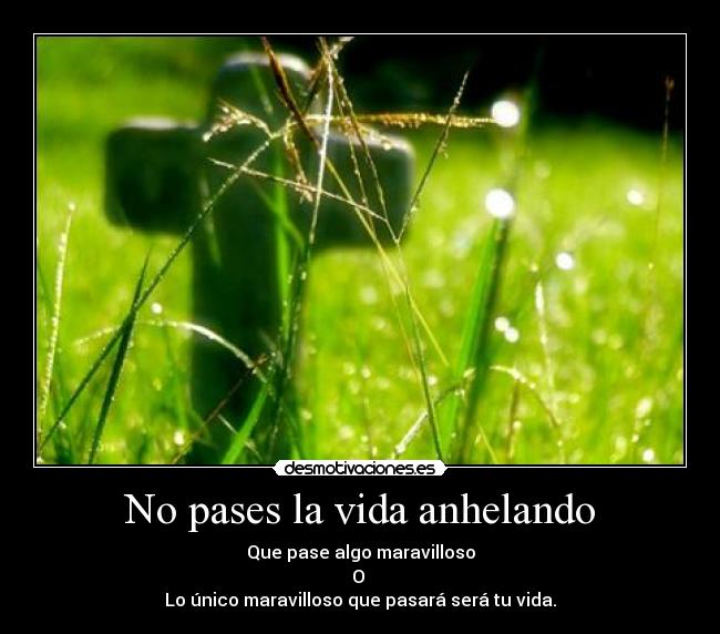 carteles vida gato intruders crazyclub clanreyleon suele pasar pocos entenderan xddddddd desmotivaciones