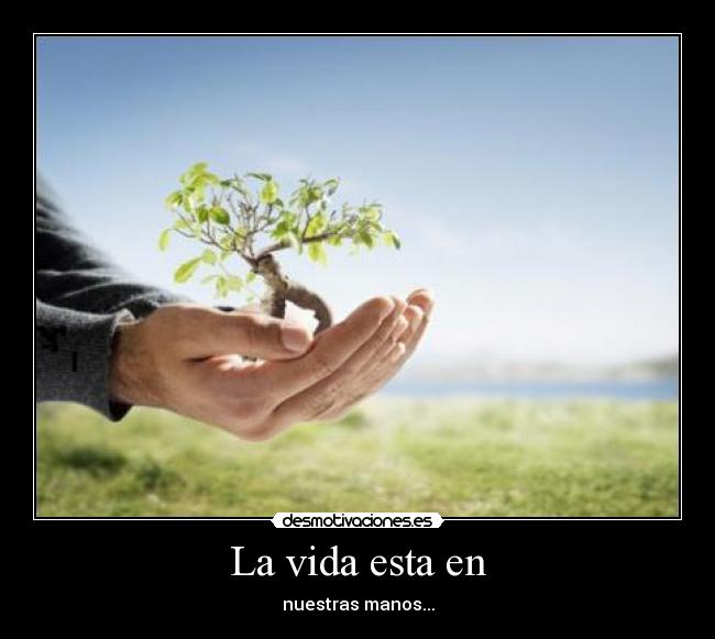 La vida esta en - nuestras manos...