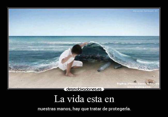 La vida esta en - nuestras manos, hay que tratar de protegerla.