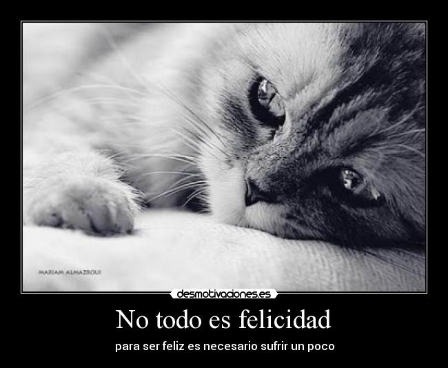No todo es felicidad -