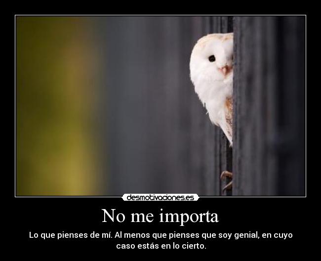 No me importa - Lo que pienses de mí. Al menos que pienses que soy genial, en cuyo
caso estás en lo cierto.