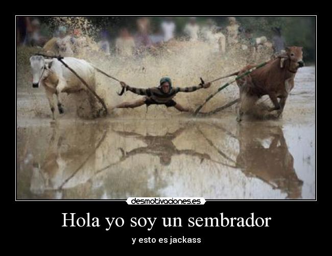 Hola yo soy un sembrador -