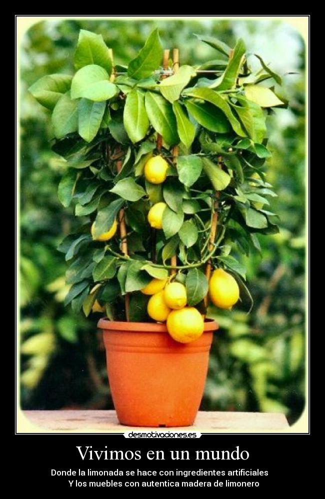 Vivimos en un mundo - 