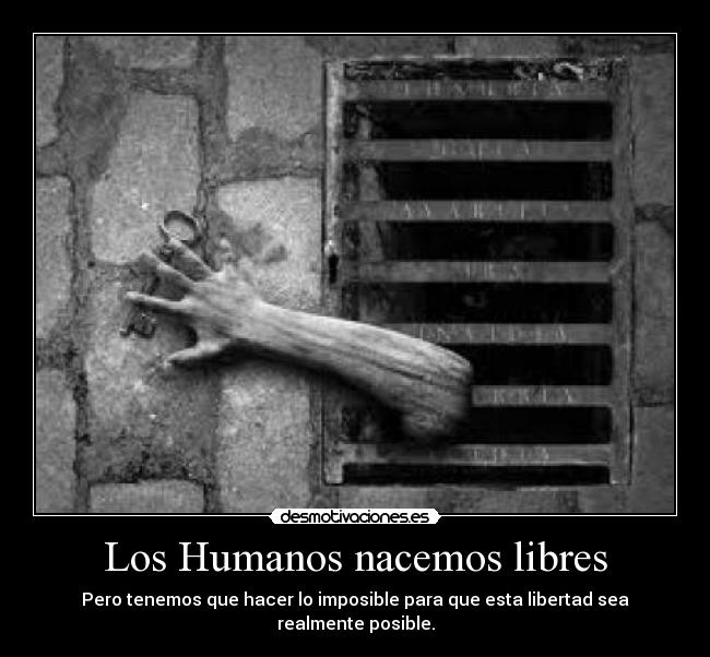 Los Humanos nacemos libres - Pero tenemos que hacer lo imposible para que esta libertad sea realmente posible.