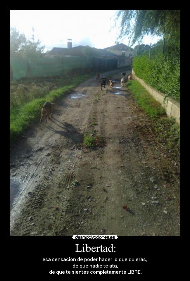 Libertad: - 