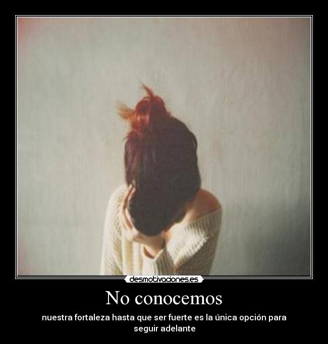 No conocemos -