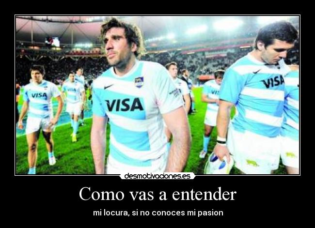 carteles los pumas desmotivaciones