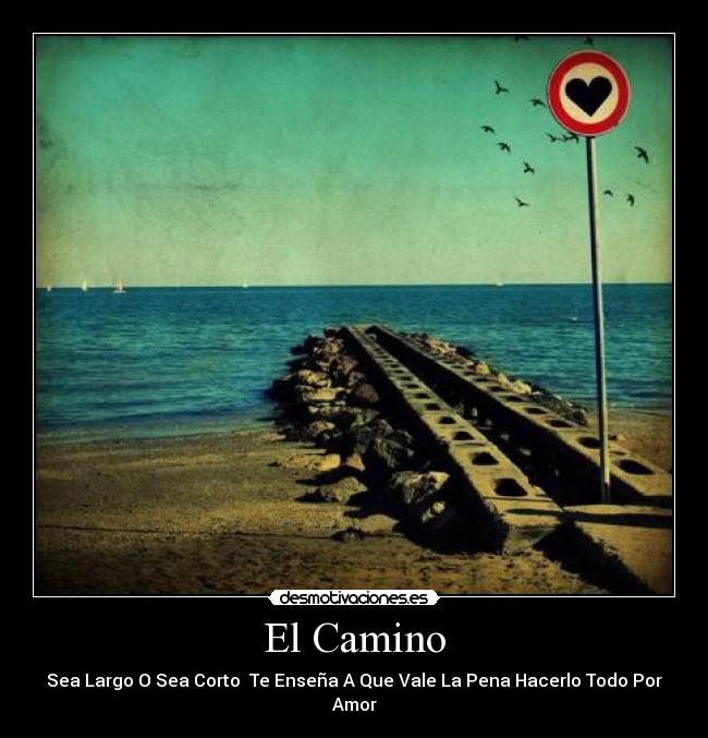 El Camino -