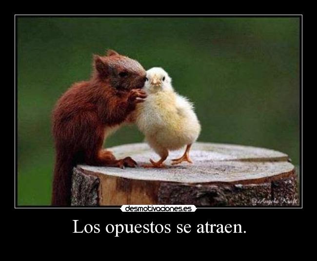 Los opuestos se atraen. -