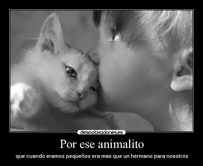 Por ese animalito - 