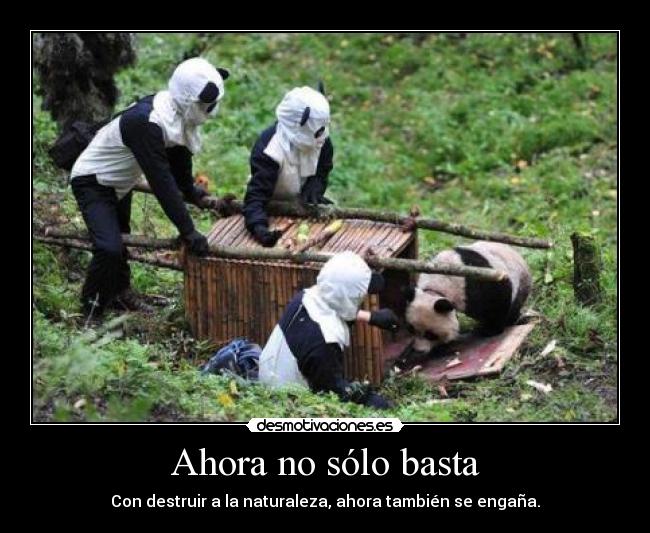 carteles desmotivaciones