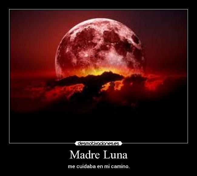carteles madre miau luna desmotivaciones
