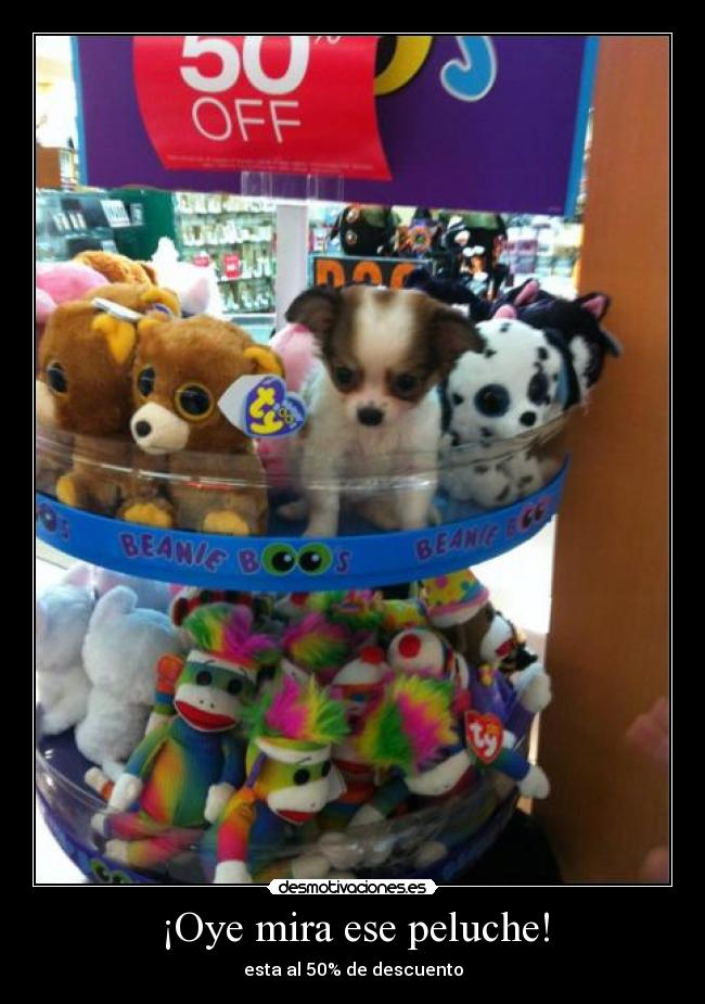 ¡Oye mira ese peluche! -