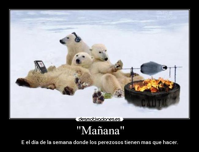 Mañana - E el día de la semana donde los perezosos tienen mas que hacer.