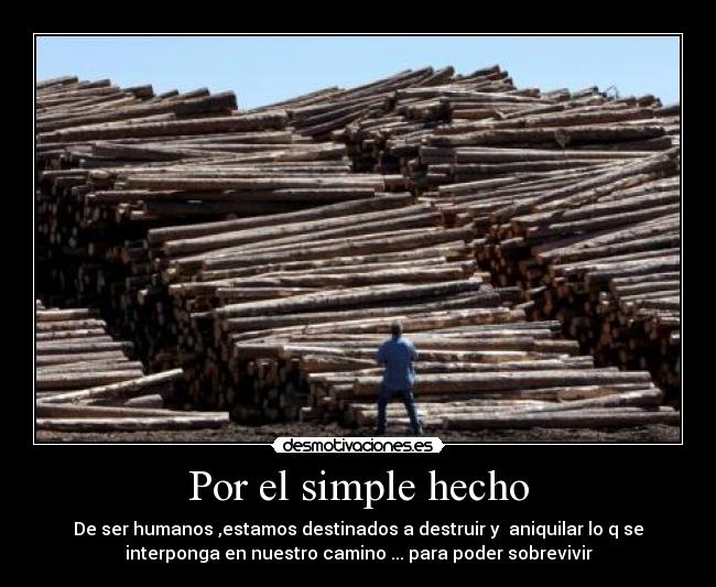 Por el simple hecho -