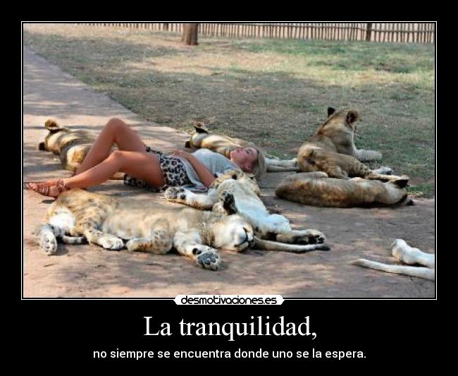 La tranquilidad, - 