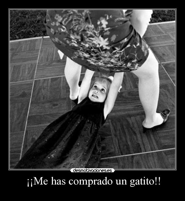 carteles eften gatitosdeefe concha sin depilar madre webon jew desmotivaciones