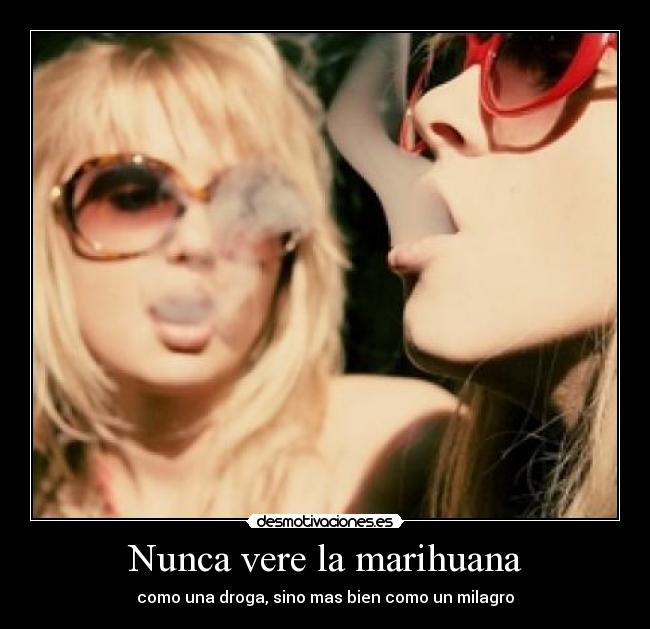 Nunca vere la marihuana - 