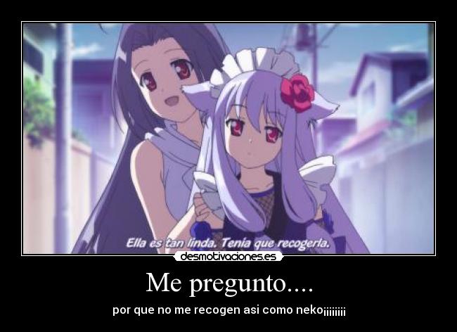 Me pregunto.... -