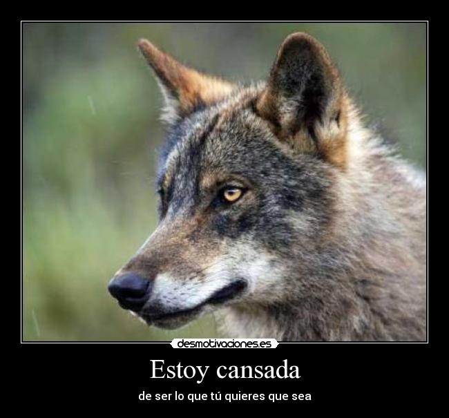 Estoy cansada - 