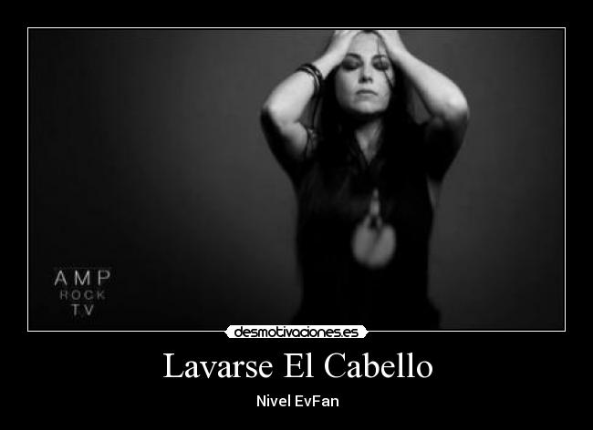 carteles evanescence cabello desmotivaciones