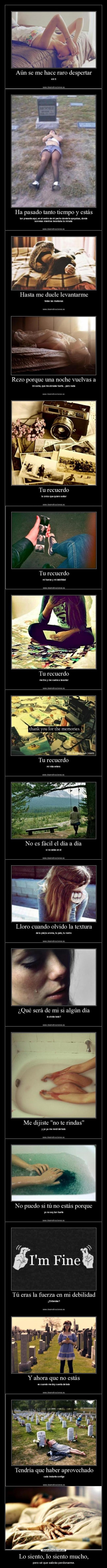 Lo siento, lo siento mucho, -