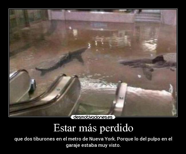 Estar más perdido - 