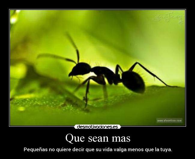 Que sean mas - Pequeñas no quiere decir que su vida valga menos que la tuya.