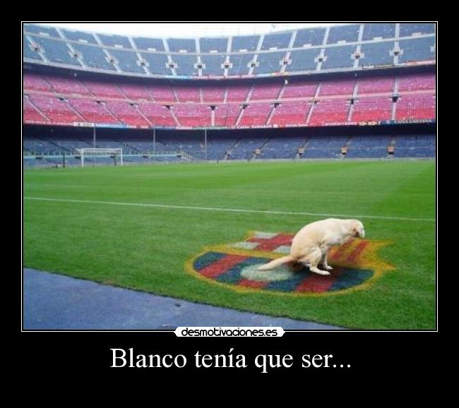 Blanco tenía que ser... - 