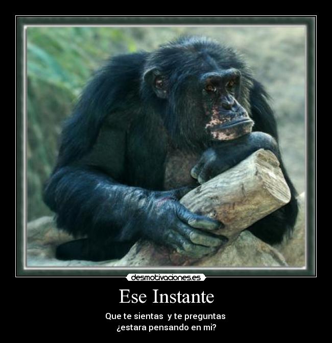 Ese Instante - Que te sientas y te preguntas
¿estara pensando en mi?