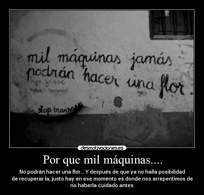 Por que mil máquinas.... - No podrán hacer una flor... Y después de que ya no halla posibilidad
de recuperar la, justo hay en ese momento es donde nos arrepentimos de
no haberla cuidado antes.