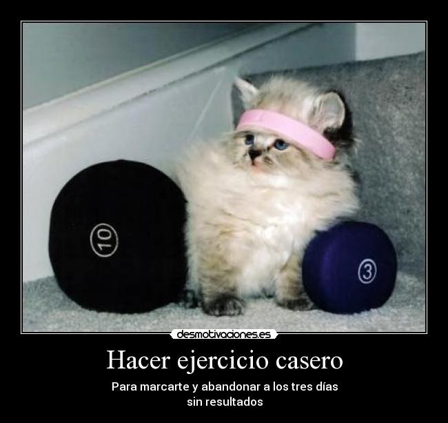 carteles ami mepaso desmotivaciones