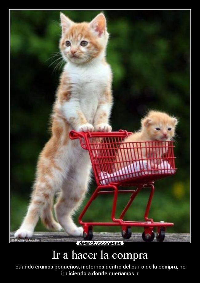 carteles andres92 molaba desmotivaciones