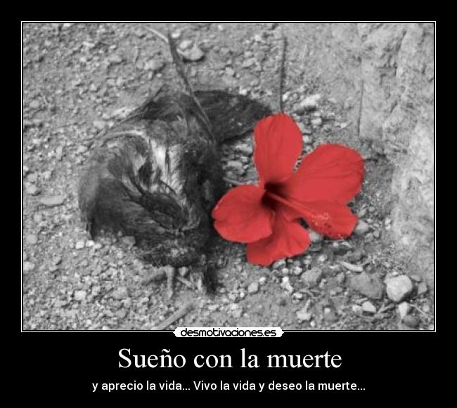 Sueño con la muerte - y aprecio la vida... Vivo la vida y deseo la muerte...