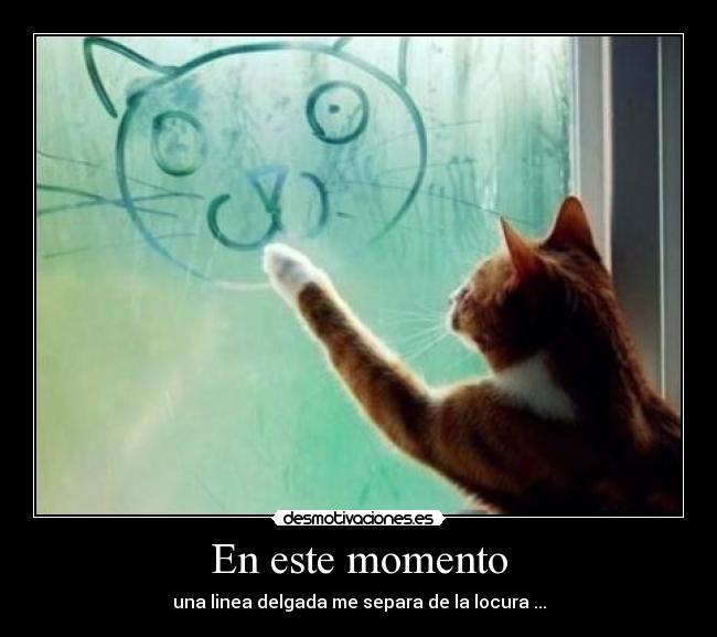 En este momento - una linea delgada me separa de la locura ...