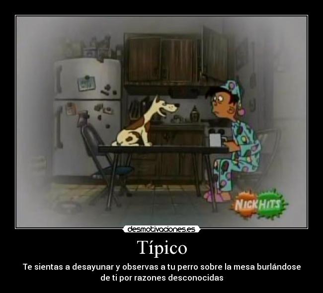 Típico - Te sientas a desayunar y observas a tu perro sobre la mesa burlándose
de ti por razones desconocidas