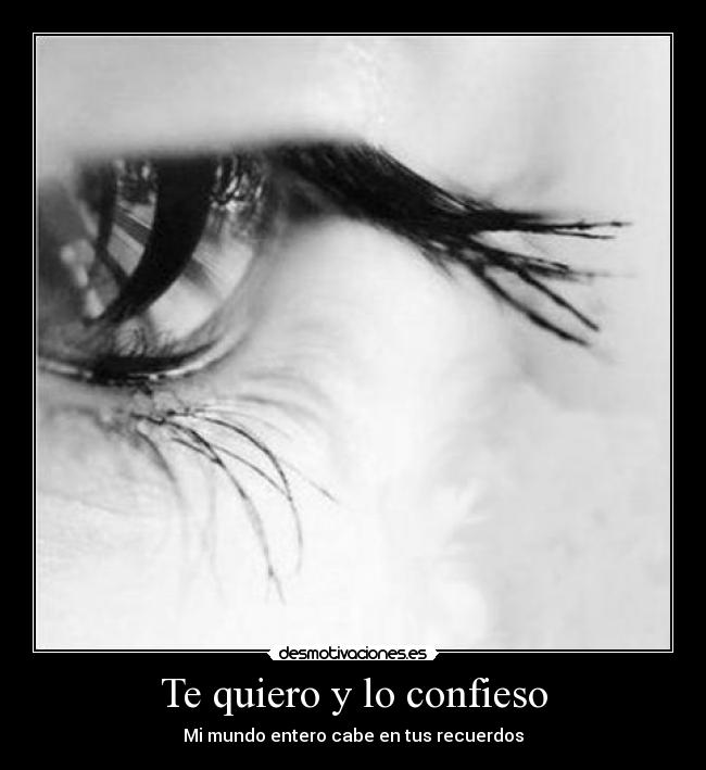 Te quiero y lo confieso -