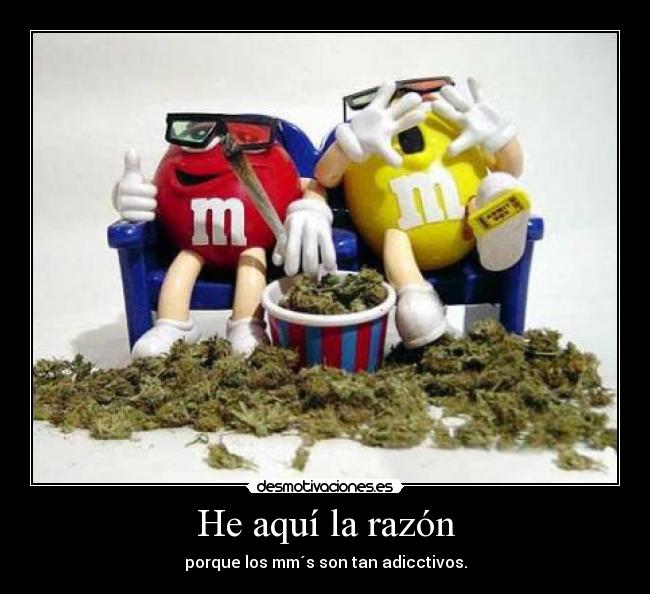 He aquí la razón - 