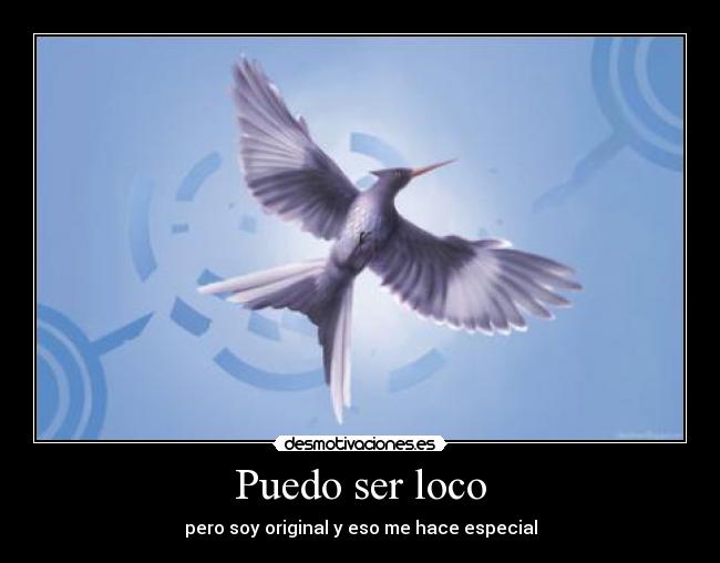 Puedo ser loco -