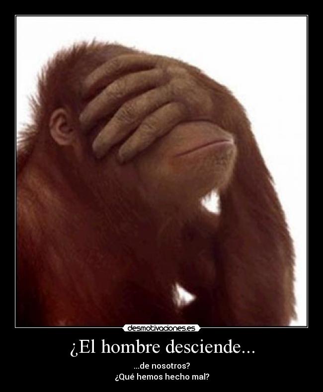 carteles tal vez darwin equivocaba desmotivaciones